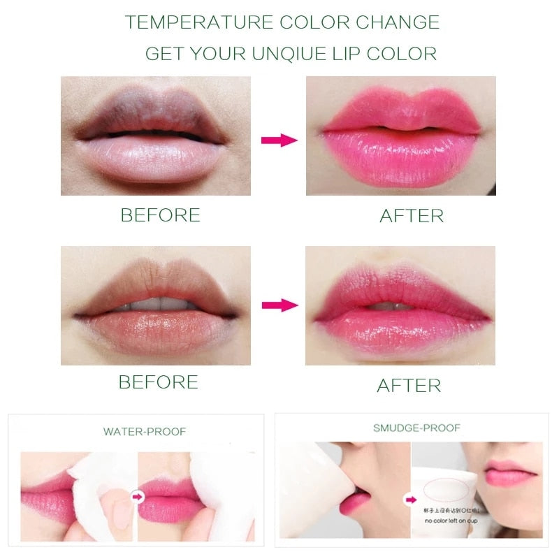 Aloe Vera Moisturizing Lip Balm - Beautiful You Store, LLC