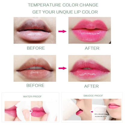 Aloe Vera Moisturizing Lip Balm - Beautiful You Store, LLC